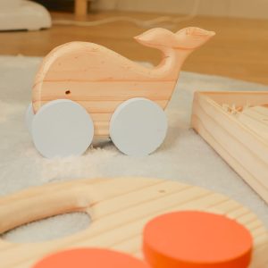 kit carrinho pedagógico  baleia e elefante